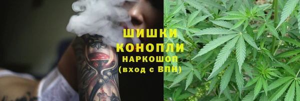 apvp Балашиха
