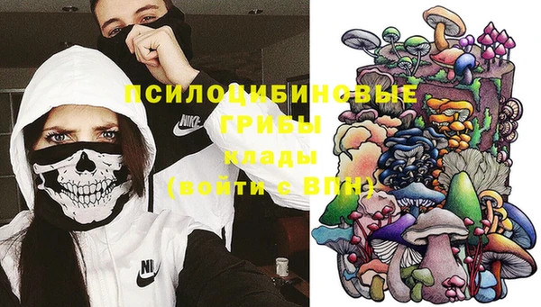 гидропоника Пенза